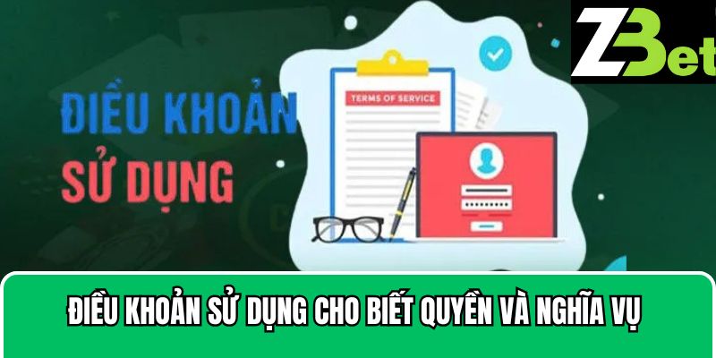 Điều khoản sử dụng cho biết quyền và nghĩa vụ 