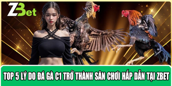 Top 5 Lý Do Đá Gà C1 Trở Thành Sân Chơi Hấp Dẫn Tại ZBET