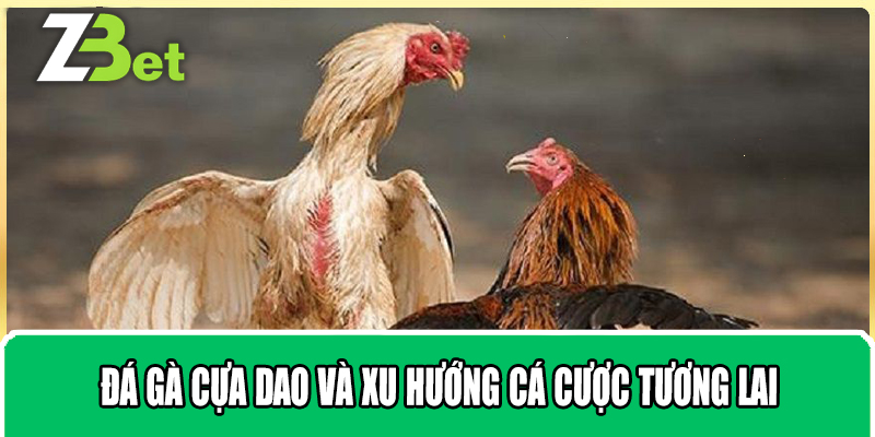 Đá gà cựa dao và xu hướng cá cược tương lai