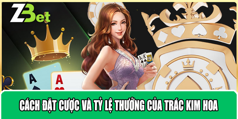 Cách Đặt Cược Và Tỷ Lệ Thưởng Của Trác Kim Hoa